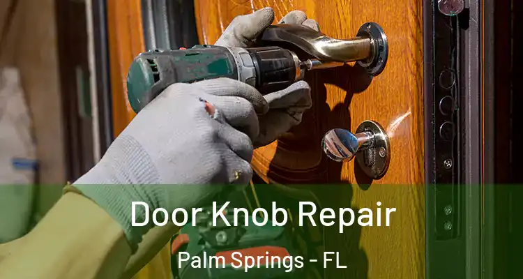  Door Knob Repair Palm Springs - FL