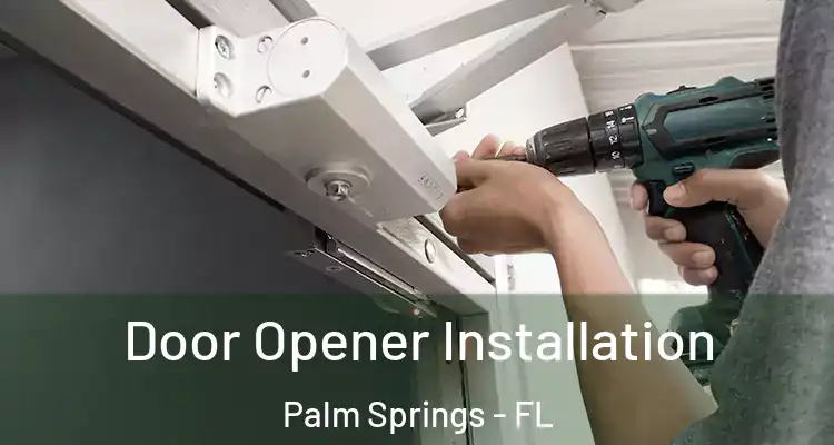  Door Opener Installation Palm Springs - FL