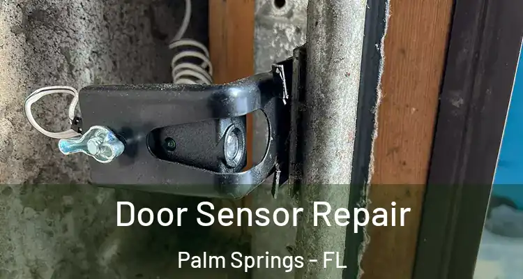  Door Sensor Repair Palm Springs - FL
