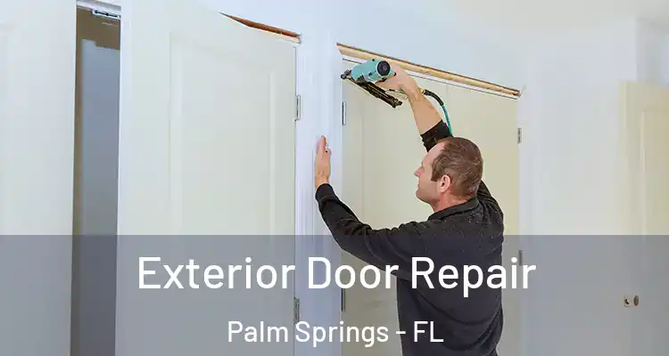  Exterior Door Repair Palm Springs - FL