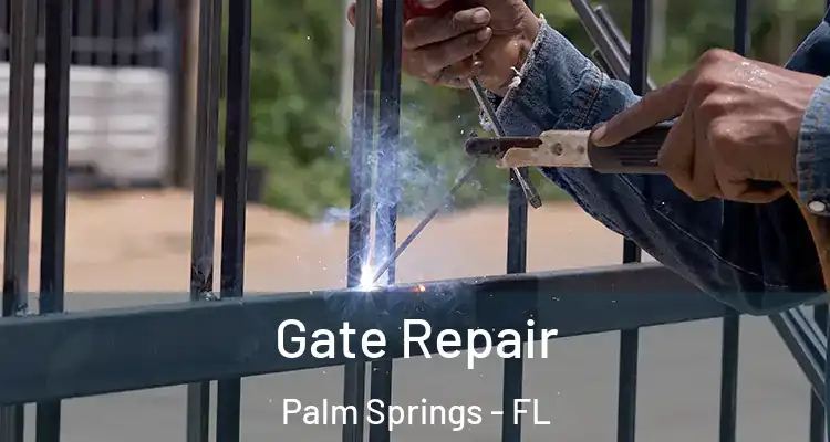  Gate Repair Palm Springs - FL