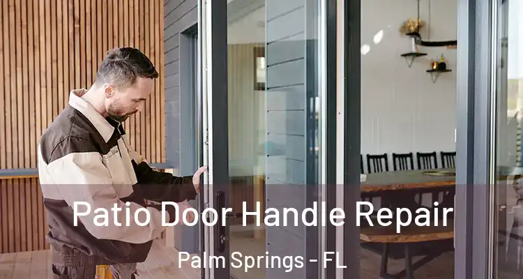  Patio Door Handle Repair Palm Springs - FL
